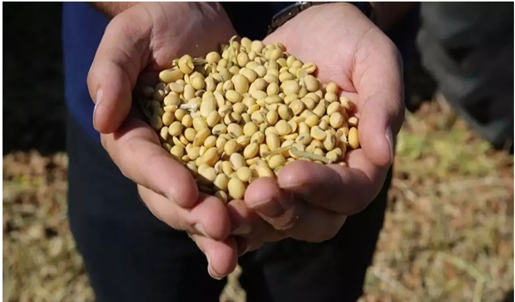 Türk hububat sektörünün ihracatı 8 ayda 8 milyar doları aştı