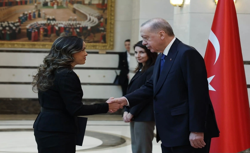 Büyükelçiler, Cumhurbaşkanı Erdoğan'a güven mektuplarını sundu