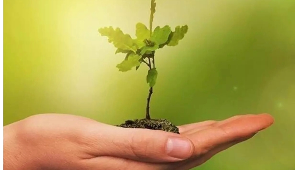 Meclis'ten "Sıfır Atık Projesi"ne tam destek