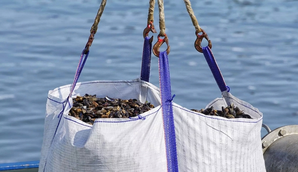 Çin'den Japonya'ya ithalat şoku! Su ürünleri yasağı