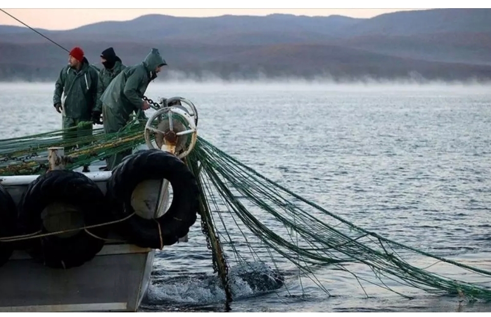 Türkiye GFCM başkanlığıyla balıkçılık politikasında söz sahibi olacak