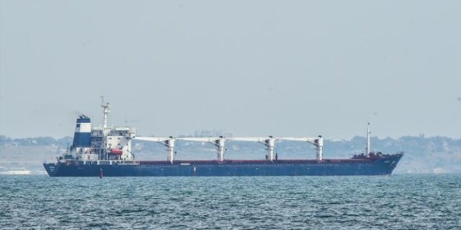 AB: Ukrayna'dan çalınan tahıl nedeniyle üçüncü ülkelere yaptırım uygulayabiliriz