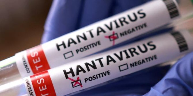 Sağlık Bakanlığından 'hantavirüs' açıklaması: Türk vatandaşların test sonuçları negatif