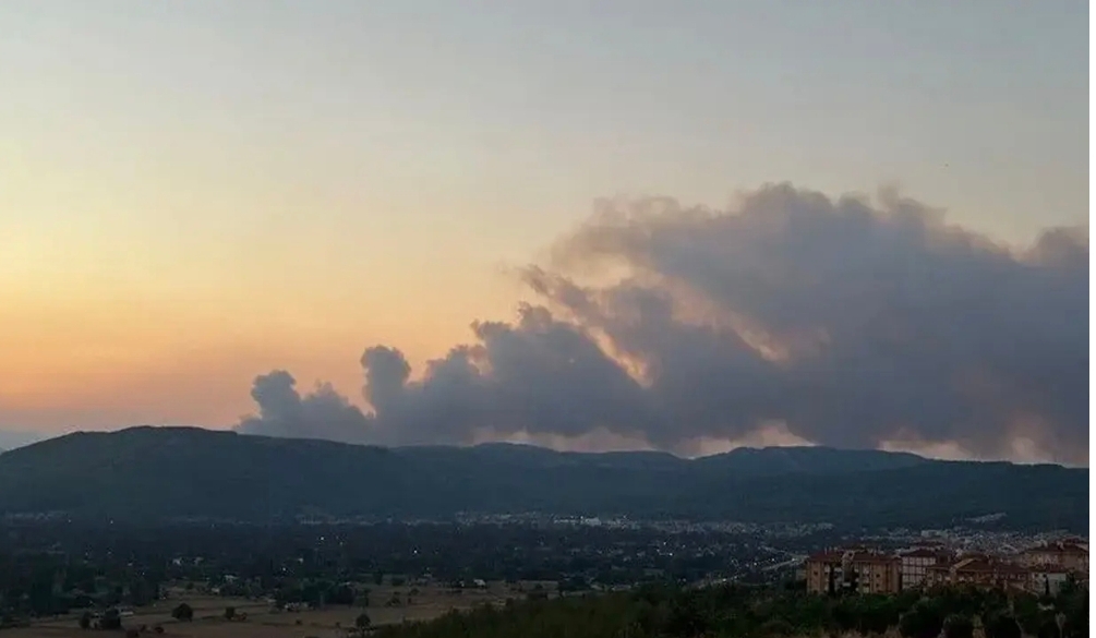 Muğla'da orman yangını: Havadan ve karadan müdahale sürüyor