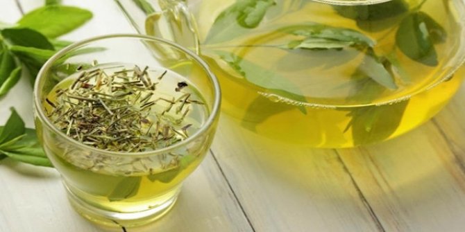 "Parkinson hastalarında yeşil çayın koruyucu etkisi olabiliyor"