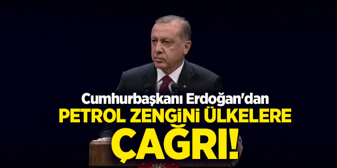Cumhurbaşkanı Erdoğan'dan petrol zengini ülkelere çağrı!