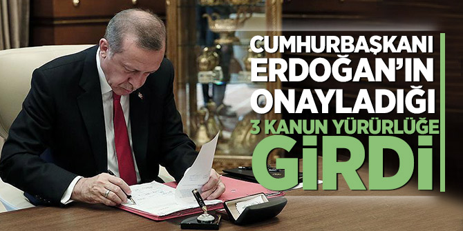 Erdoğan'ın onayladığı üç kanun yürürlüğe girdi