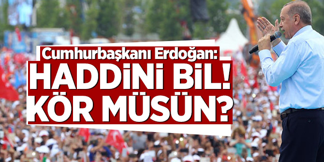 Cumhurbaşkanı Erdoğan: Haddini bil! Kör müsün?