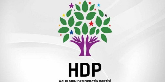 Van'da  HDP  kaç milletvekili çıkardı