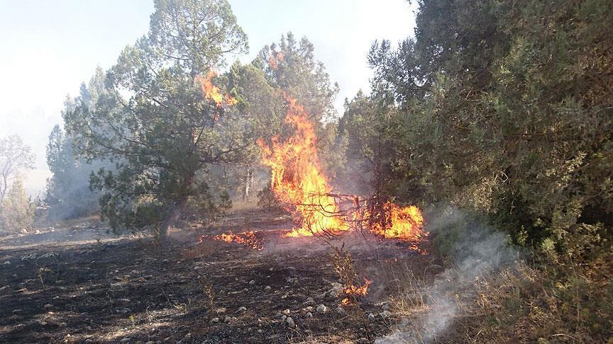 Balıkesir'de ev yangını ormana sıçradı