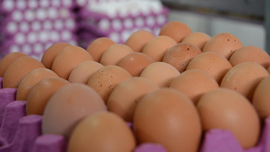 Böcek ilaçlı yumurta Macaristan'a da sıçradı