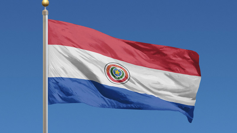 Paraguay Tarım Bakanı uçak kazasında öldü