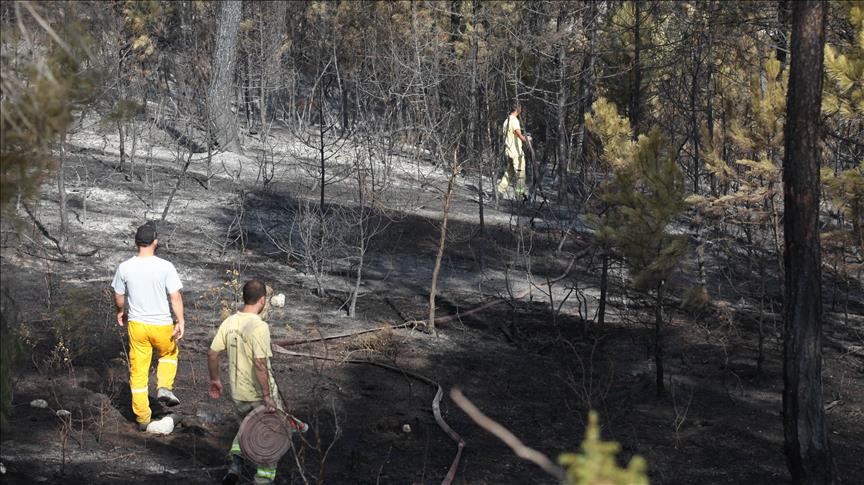 Bolu'daki orman yangınında soğutma çalışmaları sürüyor