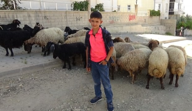 10 yaşında hayali  çoban olmak!