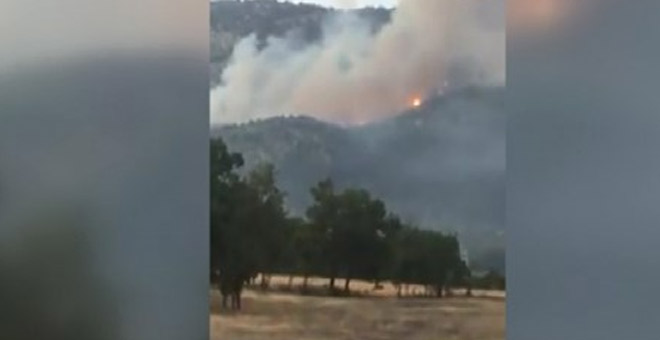 Ankara'da ormanlık alanda yangın çıktı