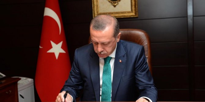 Cumhurbaşkanı Erdoğan'ın iki danışmanı daha belli oldu