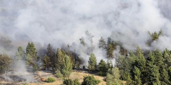 Kırım'da başlayan orman yangını söndürülemiyor