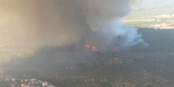 Çanakkale'de orman yangını: Helikopterler müdahale ediyor