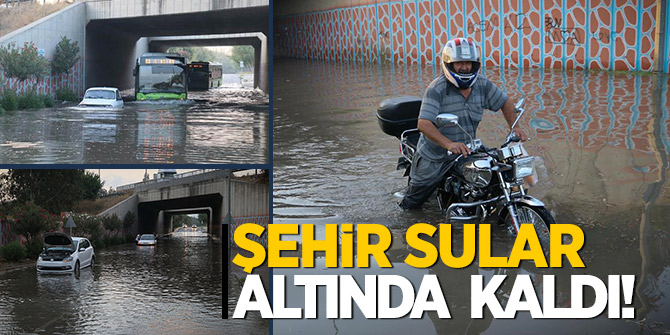 Flaş Haber! Adana'da sulama kanalı taştı!