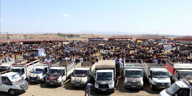 Doğu Anadolu'da kurban pazarlarında hareketlilik