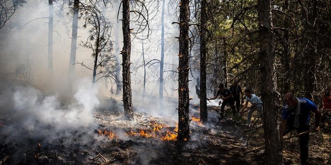 Ankara orman yangını! Kontrol altına alındı