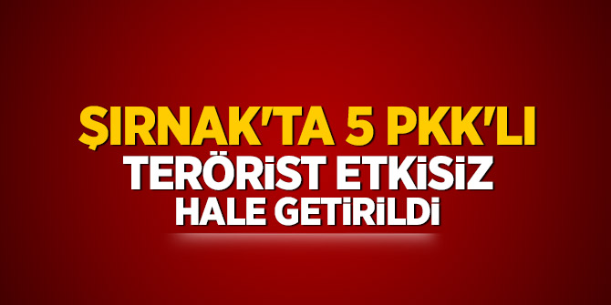 Şırnak'ta 5 PKK'lı terörist etkisiz hale getirildi