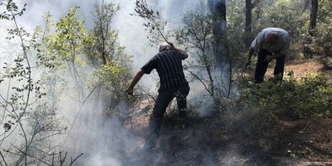 Karabük’teki ‘Tabiat Parkı’nda korkutan yangın!