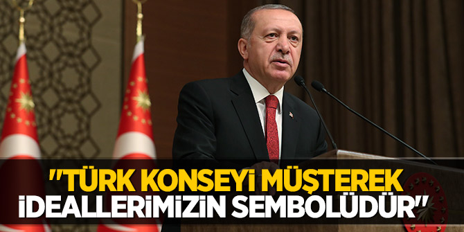 Erdoğan: "Türk Konseyi müşterek ideallerimizin sembolüdür"