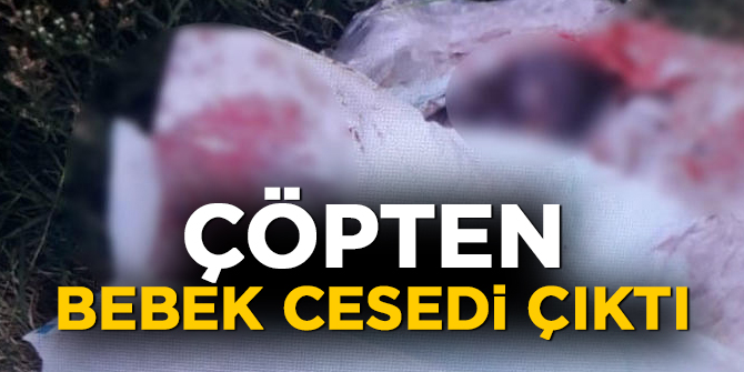 İstanbul'da çöpten bebek cesedi çıktı