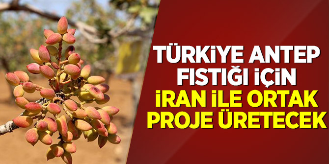 Türkiye Antep fıstığı için İran ile ortak proje üretecek
