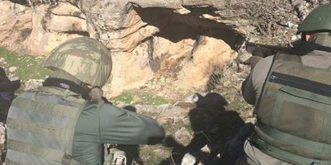 Düzenlenen operasyonda 1 PKK'lı terörist yakalandı