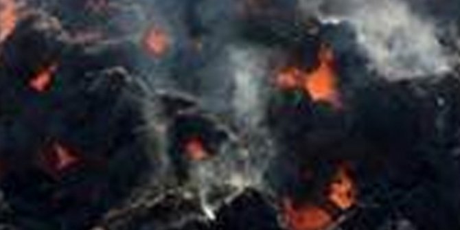 Bingöl’de yangın: Tonlarca yonca yandı