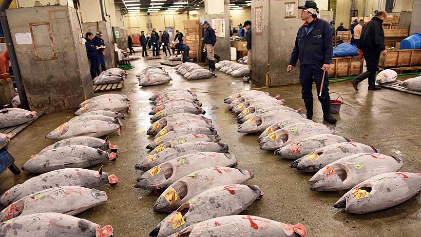 Dünyanın en büyük balık pazarı Tsukiji tarihi mekanına veda etti