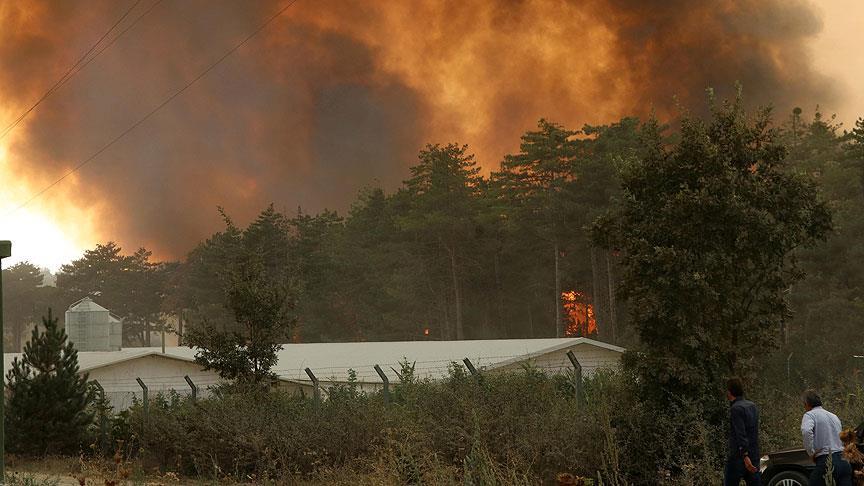 Bolu'da orman yangını nedeniyle bir mahalle boşaltıldı