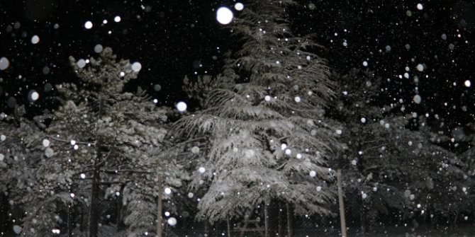 Karaman'da kar yağışı ulaşımı olumsuz etkiliyor!