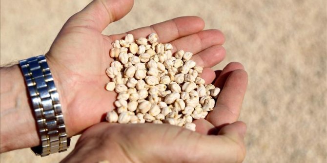 Diyarbakır'da çiftçiye 51 ton ücretsiz tohum