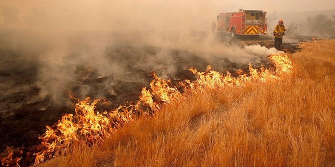 California'daki orman yangınlarında bilanço artıyor