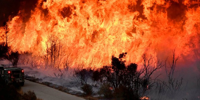 California'da orman yangını! Tarihinin en büyüğüne dönüştü...