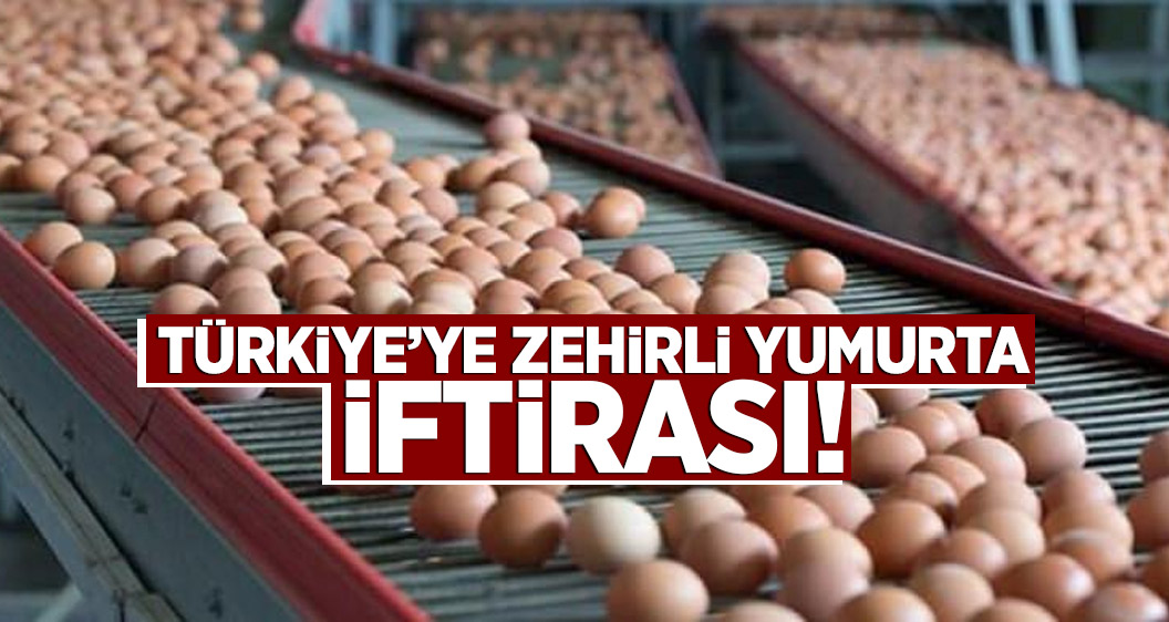 Türkiye’ye zehirli yumurta iftirası!