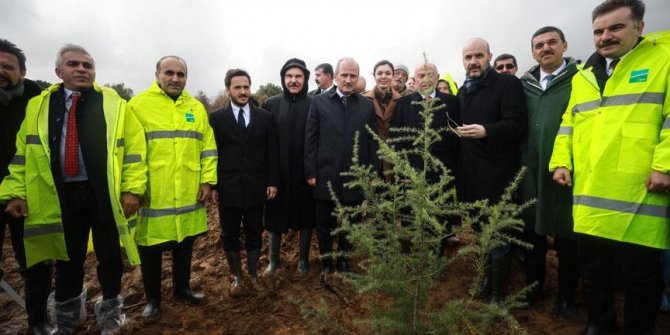 İstanbul Havalimanı için ağaçlandırma projesi