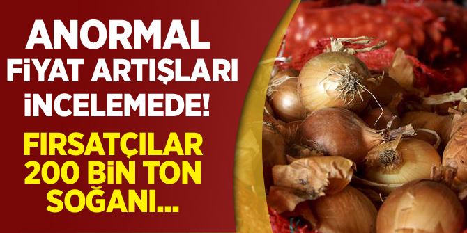 Ankara Polatlı'da 200 bin ton soğanın depolandığı tespit edildi