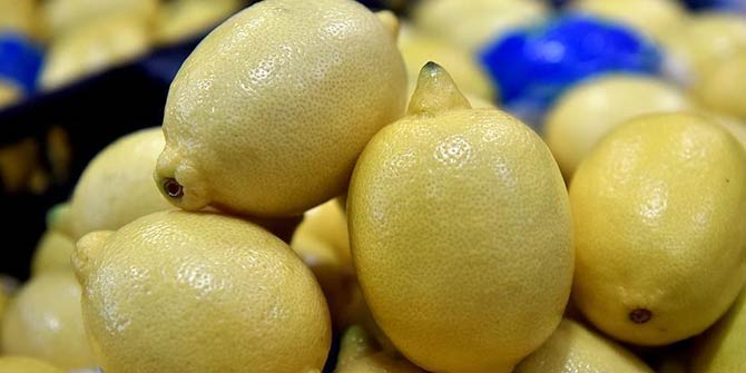 Limon ihracatında artış