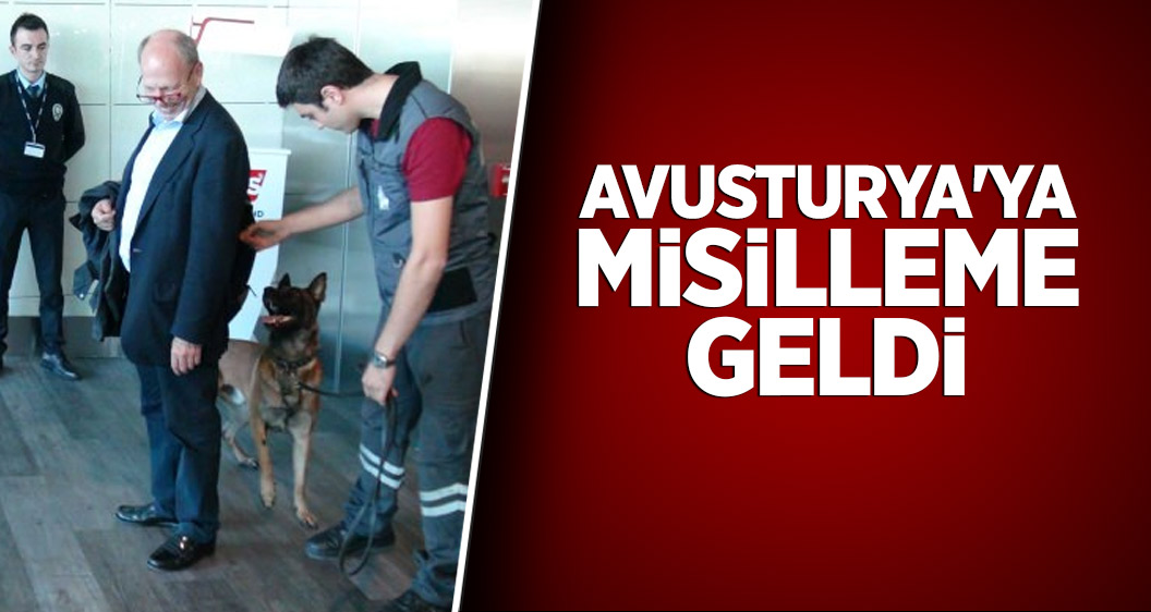 Türkleri köpekle arayan Avusturya'ya cevap geldi!