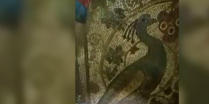 Definecilerin açtığı çukurdan 1800 yıllık tavus kuşu mozaiği çıktı