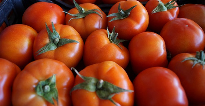 Rusya'dan 2 şirkete daha domates ithalatı izni