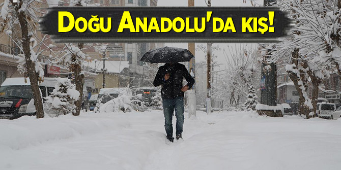 Doğu Anadolu'da kış!