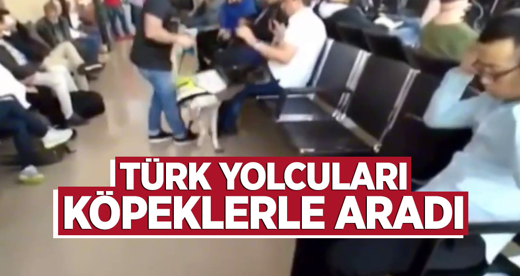 Nazi zihniyeti hortladı! Avusturya polisi Türk yolcuları köpeklerle aradı