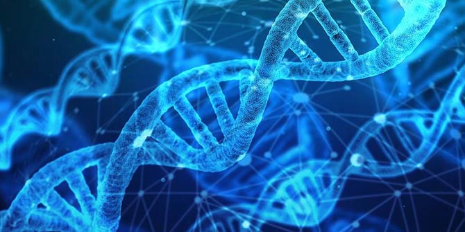 DNA yaşam süresi hakkında ipuçları veriyor