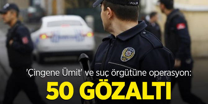 'Çingene Ümit' ve suç örgütüne operasyon: 50 gözaltı