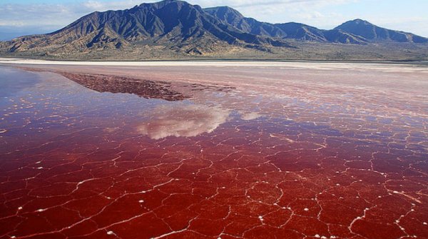 Dünyanın En Ölümcül 10 Gölü